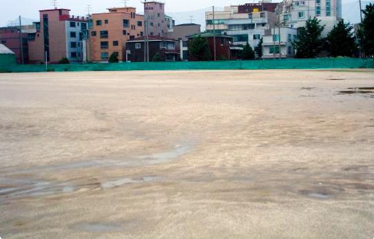 전용구장 이미지