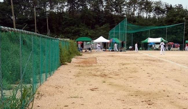 대부도 베이스볼파크