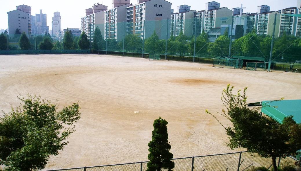 연세대학교 야구장