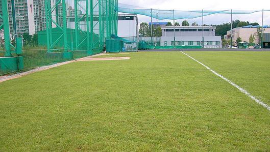 성균관대학교 야구장