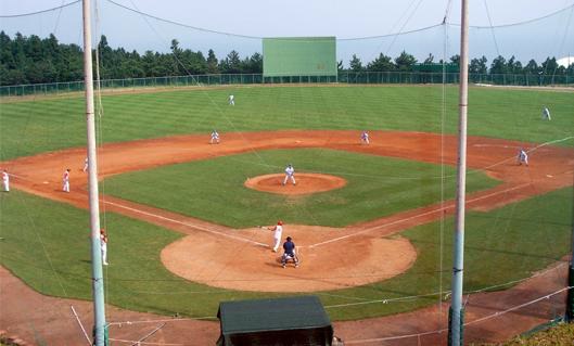 전용구장 이미지