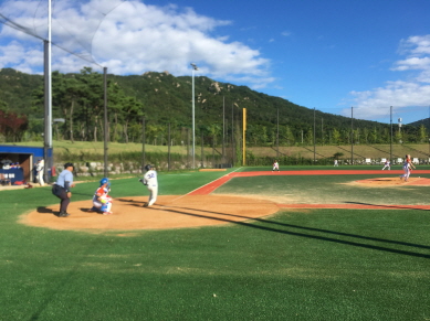 내포신도시구장