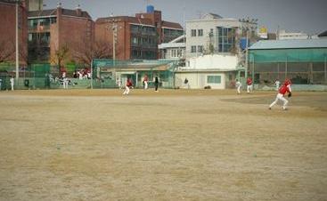 전용구장 이미지