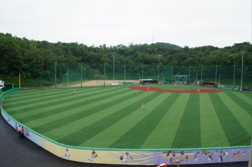 배나물야구장(안산시야구장)