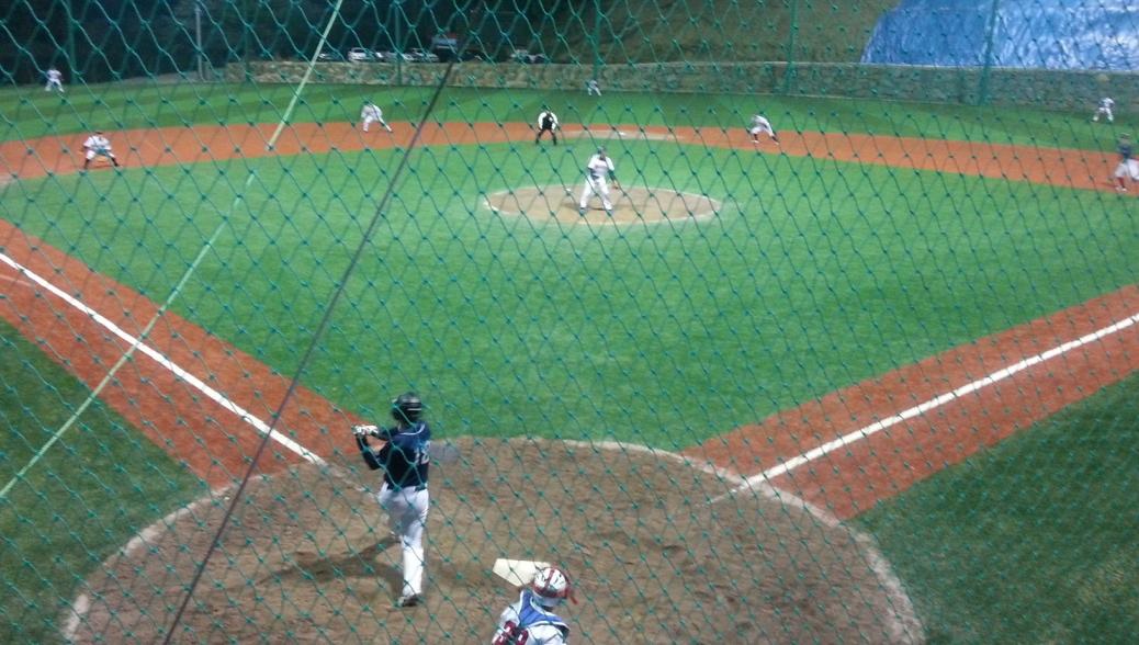 웰리치패트릭필드 야구장