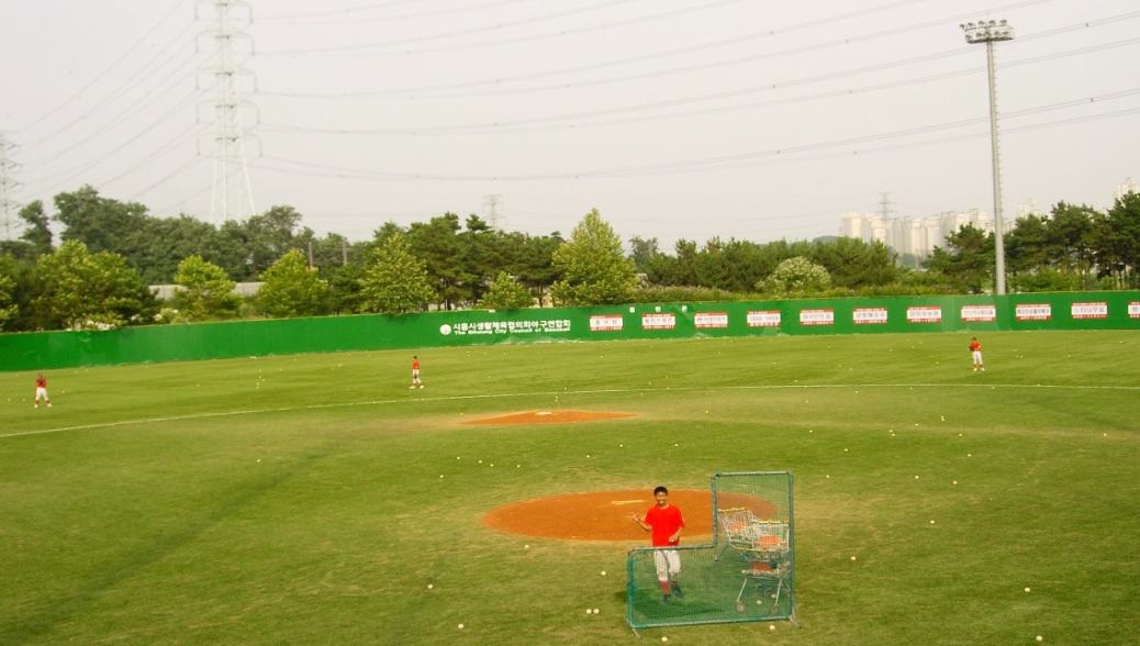 정왕체육공원 야구장