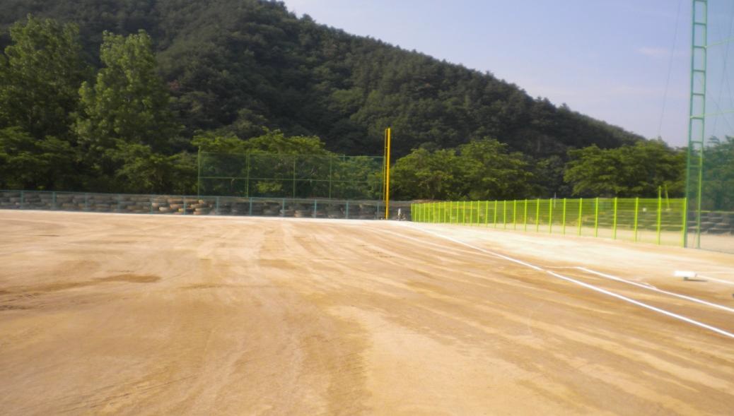 쌍용자동차 야구장