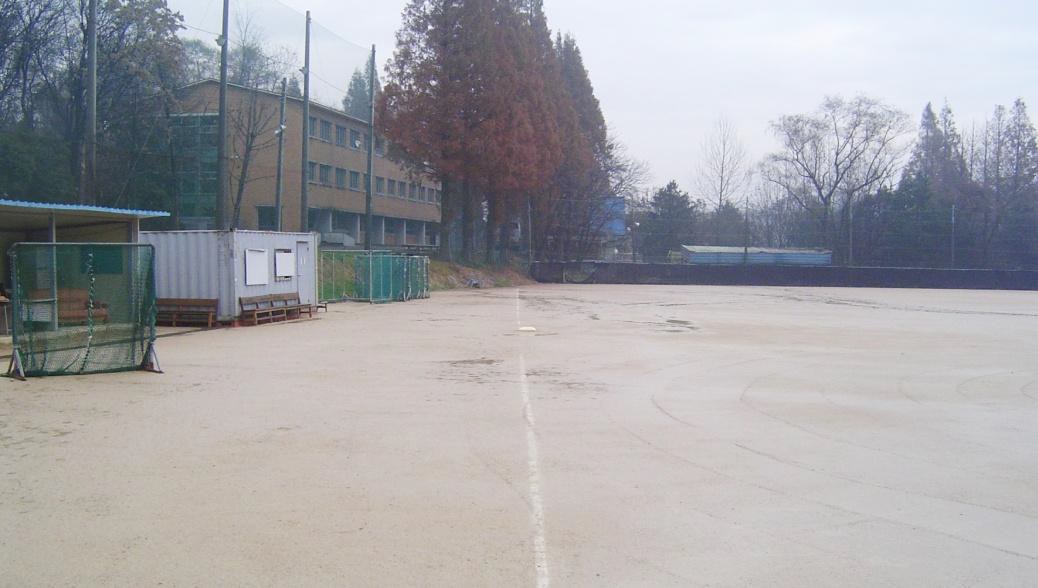 홍익대학교 야구장