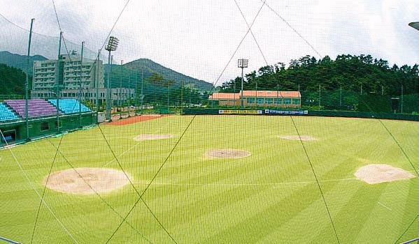 전용구장 이미지