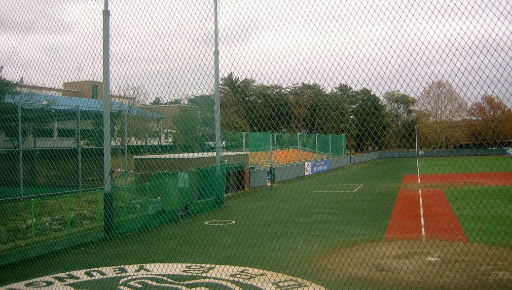 영남대학교 야구장
