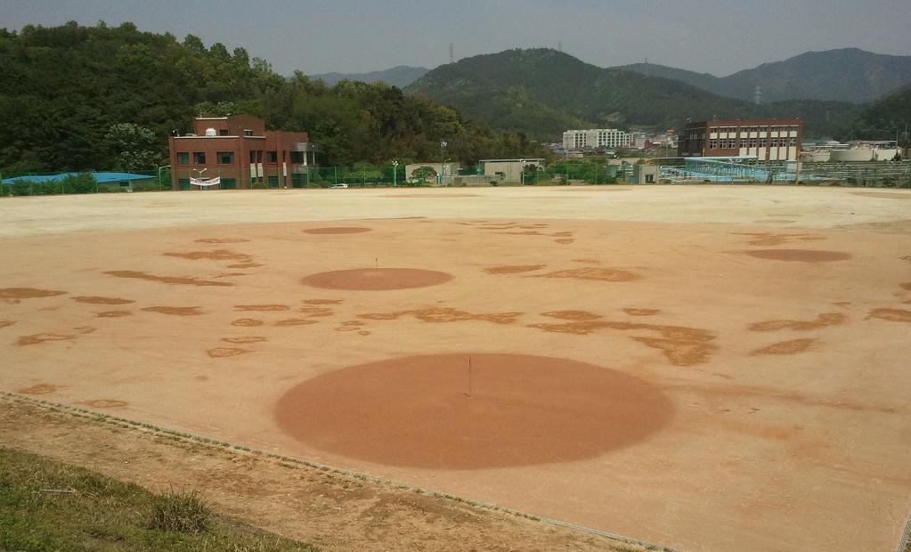 전용구장 이미지